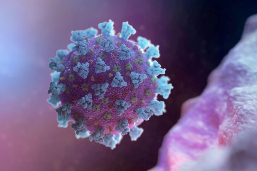 Cấu trúc của betacoronavirus, một trong bốn biến thể của SARS-CoV-2 gây bệnh COVID-19. Ảnh: Reuters