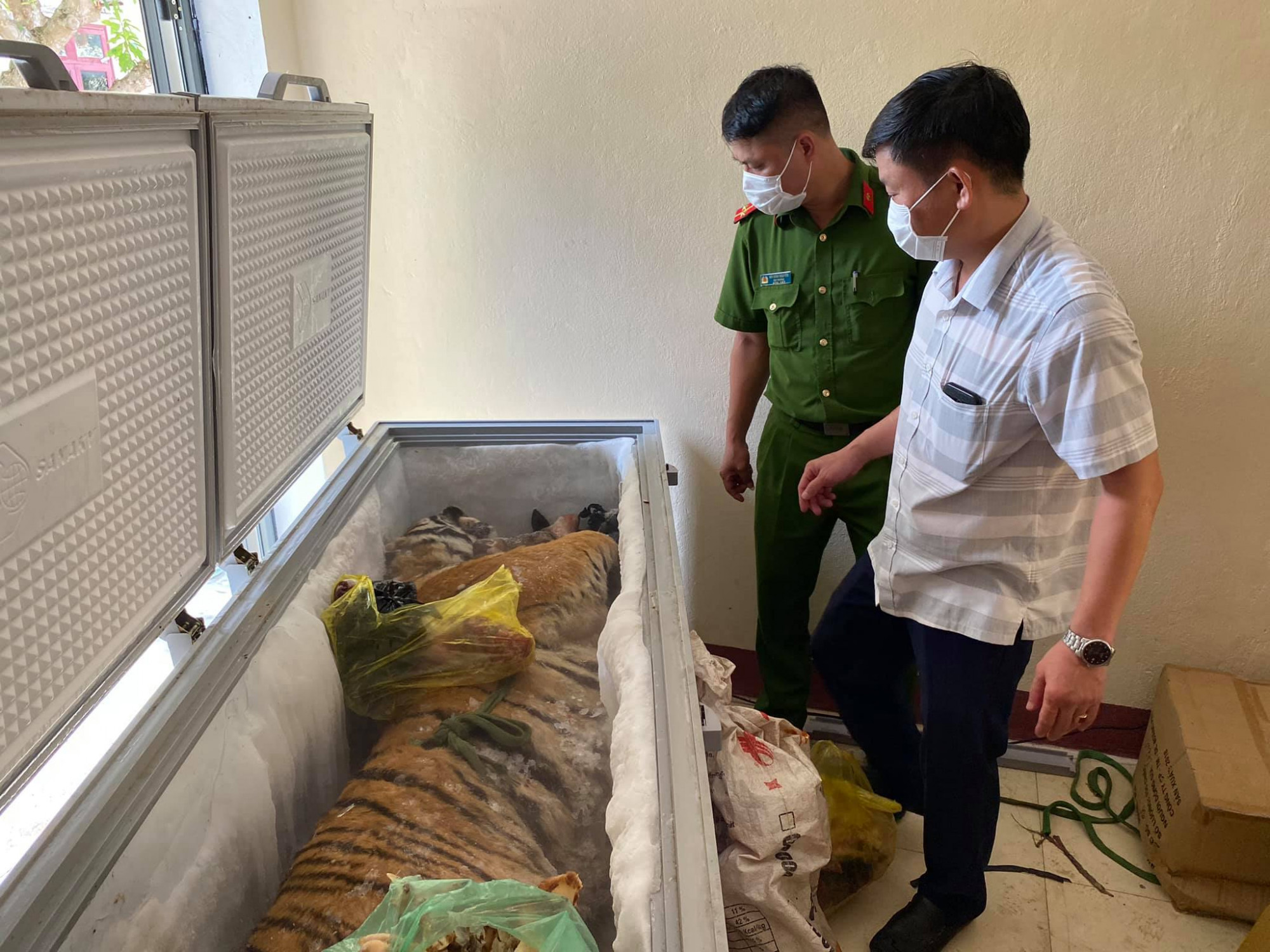 Cá thể hổ nặng 160kg được phát hiện trong tủ lạnh