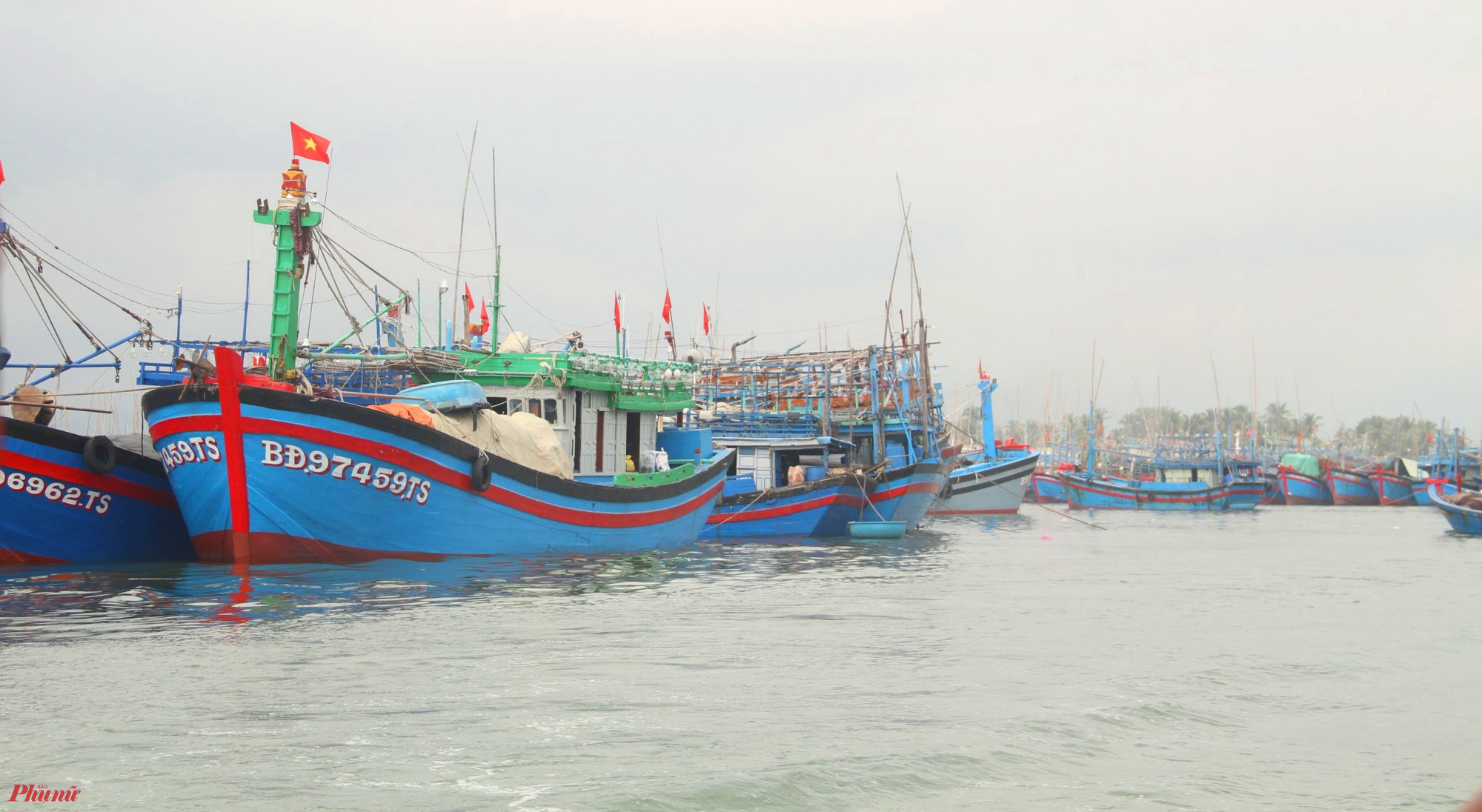 Tàu thuyền vô tránh bão số 6 tại cảng Quy Nhơn