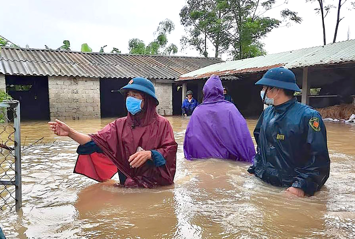 Nhiều nơi ở huyện Quỳnh Lưu bị ngập sâu