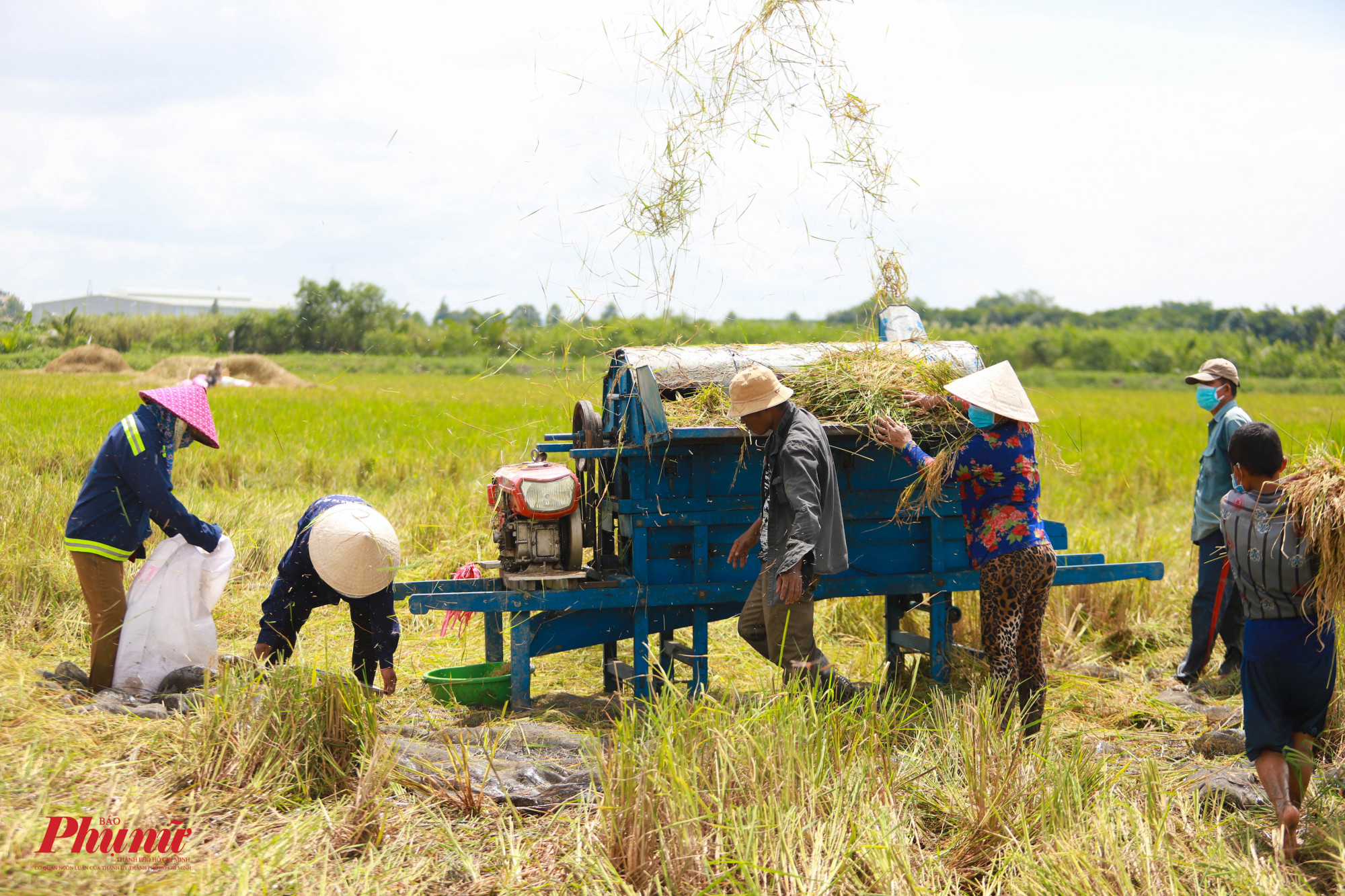 Cả gia đình đều rủ nhau lên Sài Gòn làm thuê kiếm sống