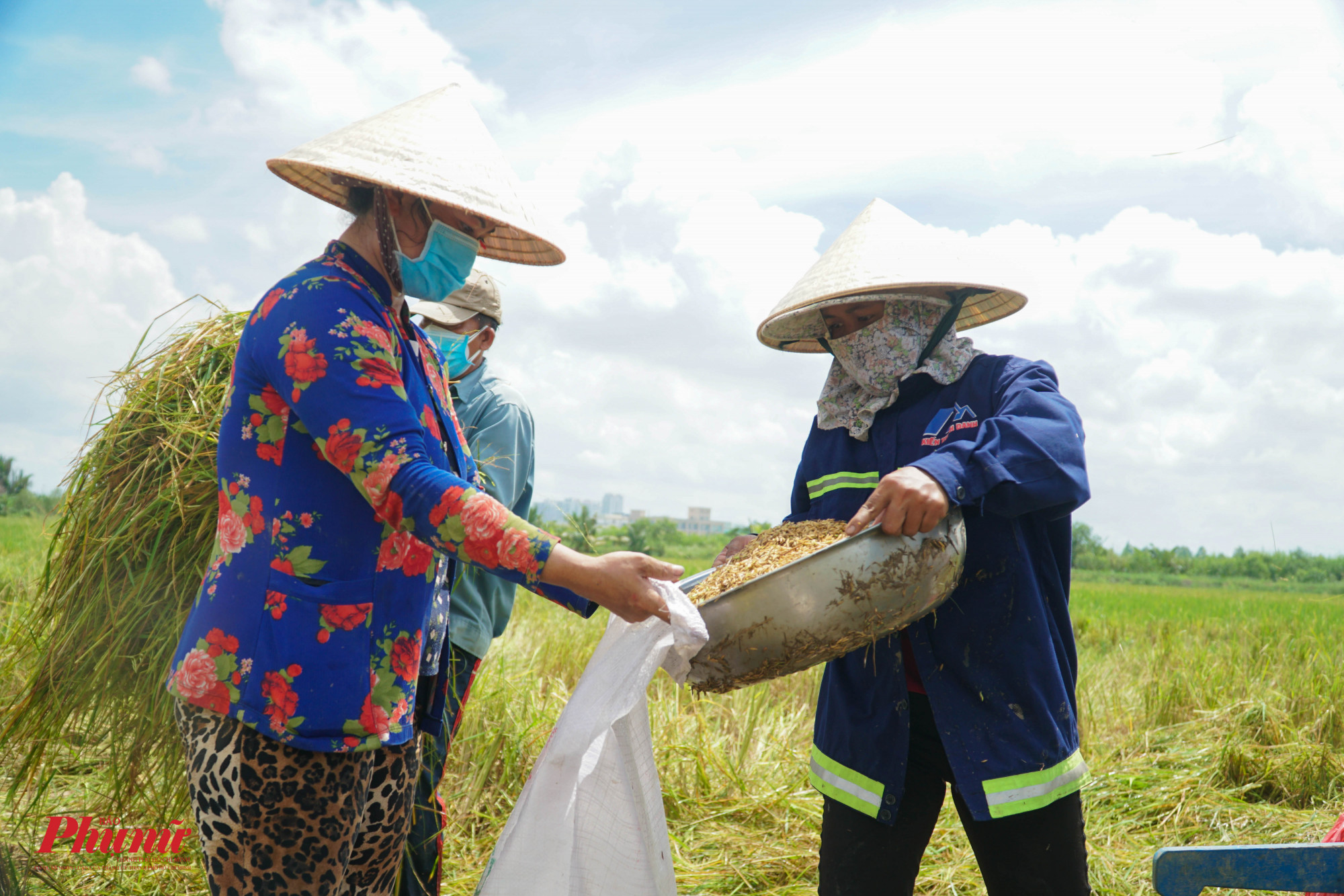 Chị em nhà chị Hương cố gắng làm xong công ruộng này để còn về sớm