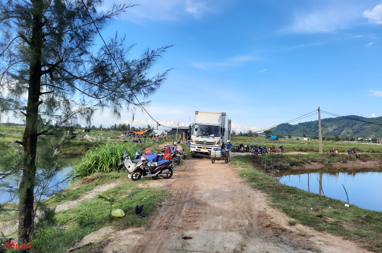 Lãnh đạo xã Cẩm Lĩnh cho biết, chính quyền địa phương đã cố gắng liên hệ với các tiểu thương trong tỉnh hỗ trợ người dân nuôi ốc hương, nhưng sức mua hiện nay vẫn còn hạn chế.