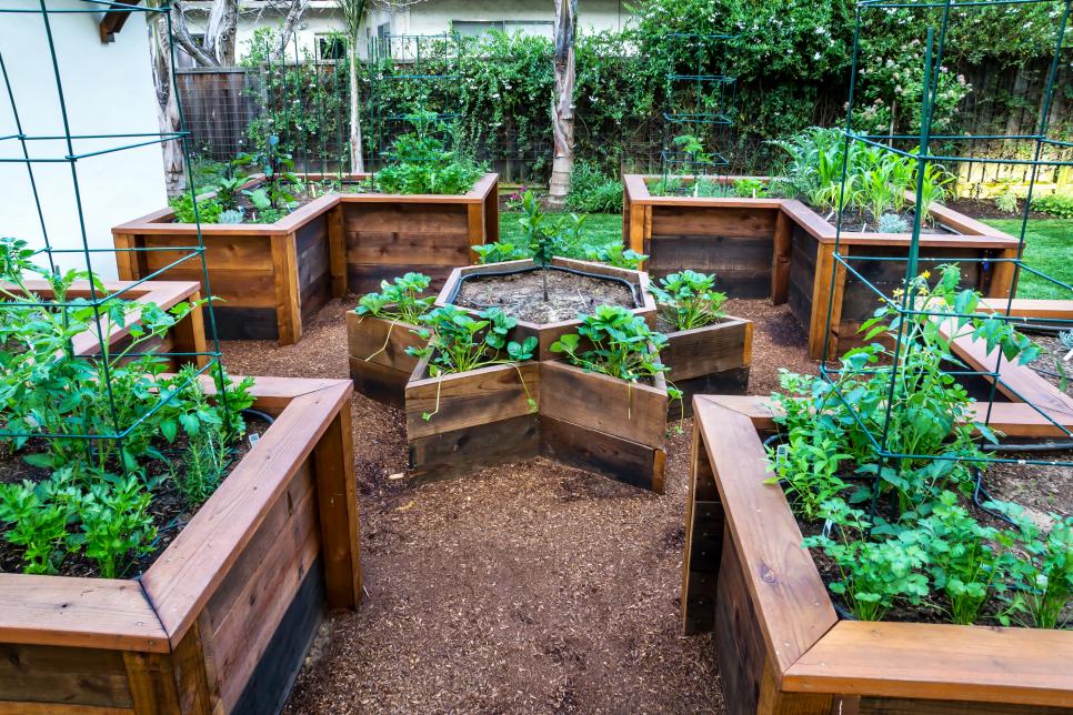 Vị trí là chìa khóa Khi trồng khu vườn của bạn, hãy nghĩ về vị trí của nó trong mối quan hệ với nguồn nước và ngôi nhà của bạn. Khu vườn của bạn càng gần nhà bạn càng dễ bảo trì về mặt làm cỏ, kiểm soát sâu bệnh và tưới nước.   Từ: Casa Smith Designs, LLC