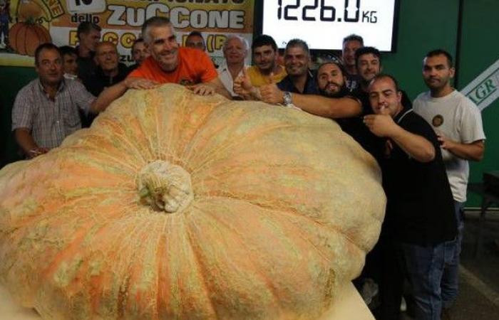 Quả bí ngô nặng 1.226kg của ông Stefano Cutrupi, một nông dân đến từ Ý - Ảnh: Itali24 News