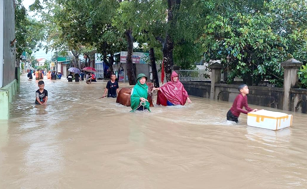 Mưa lớn những ngày cuối tháng 9 khiến hàng ngàn hộ dân ở huyện Quỳnh Lưu bị ngập nặng