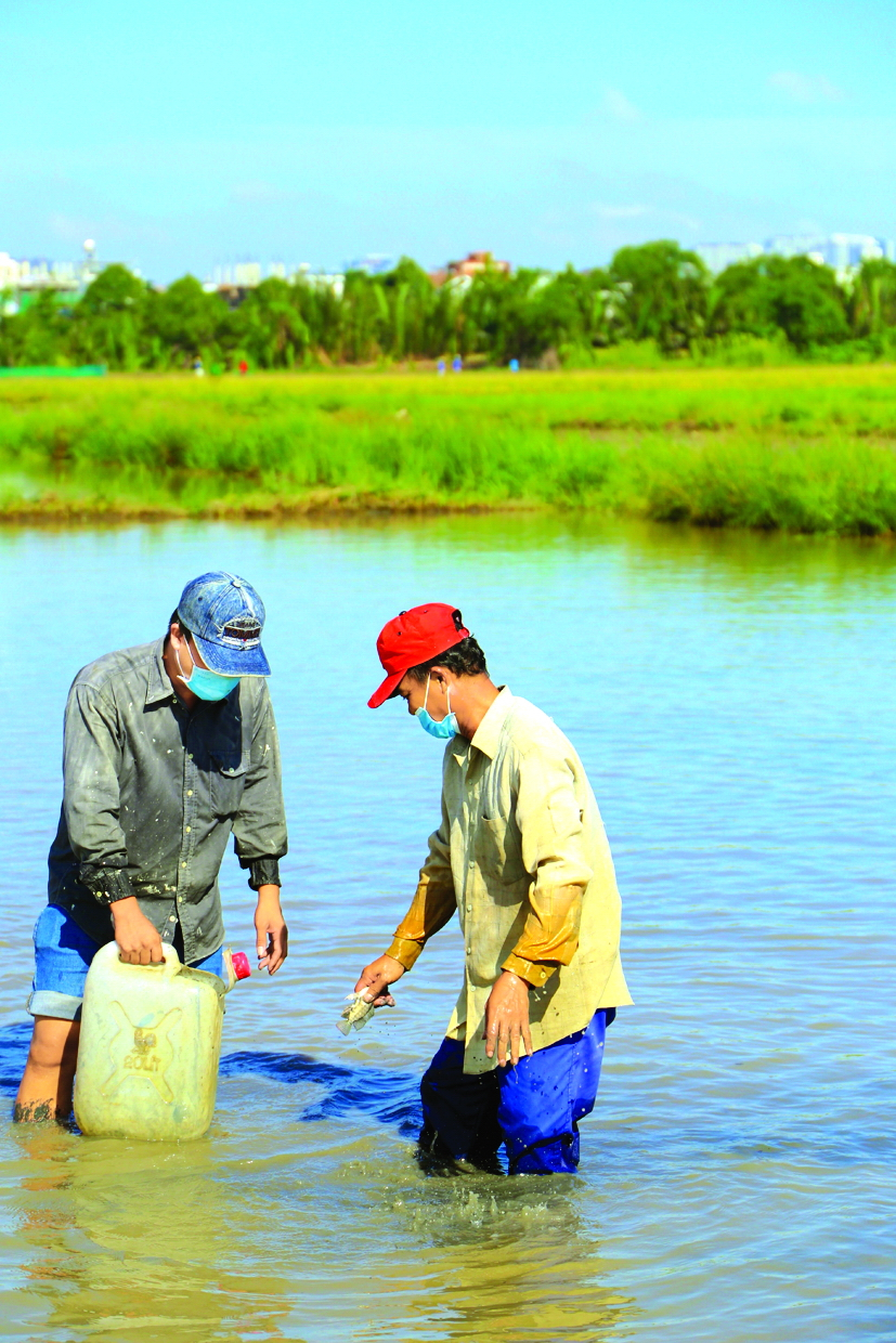 Anh Tuấn (mũ đỏ) sống ngay tại ruộng lúa, mỗi ngày đều bắt cá để lo từng bữa cơm