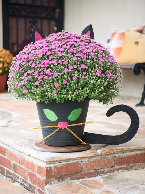 Thêm một chút cá tính cho người trồng cây của bạn với các mẹo của chúng tôi để hóa trang cho một bà mẹ mùa thu thành một con mèo đen may mắn - phù hợp với Halloween. Tạo của riêng bạn với hướng dẫn của chúng tôi, bên dưới.
