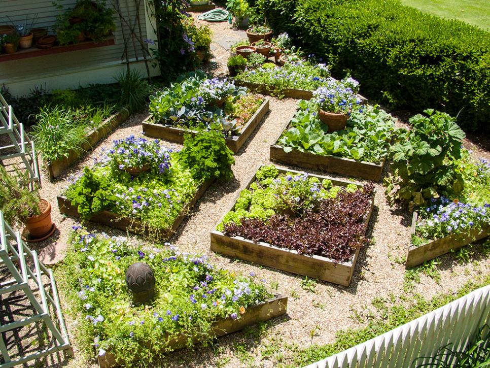Vẻ đẹp của giường nâng là cách nó có thể hoạt động như một yếu tố thiết kế trong khu vườn. Nhà thiết kế khu vườn P. Allen Smith đã kết hợp những luống rau được nâng cao chính thức vào cảnh quan tại Garden Home của anh ấy ở Little Rock, Arkansas.