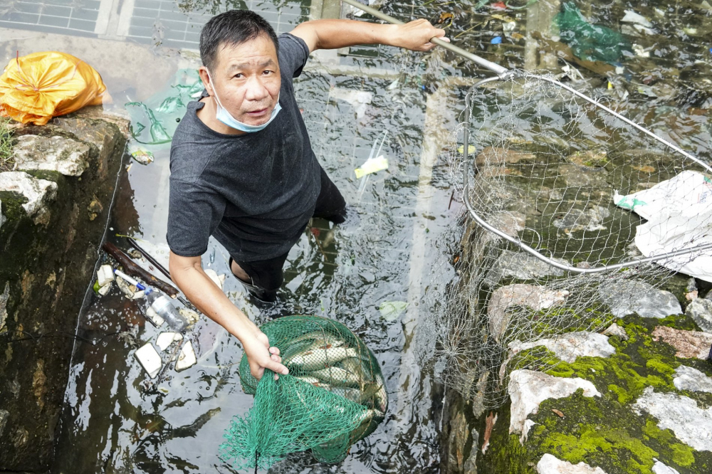 'Trước đây, dòng sông ô nhiễm, bốc mùi hôi thối nên không ai dám câu và bắt cá ở đây. Nhưng vài hôm nay, tôi thấy nước sông Tô Lịch đã trong xanh trở lại, không còn bốc mùi nên tôi mang cần xuống đây câu cá mà không còn e ngại như trước', ông Tuấn chia sẻ.