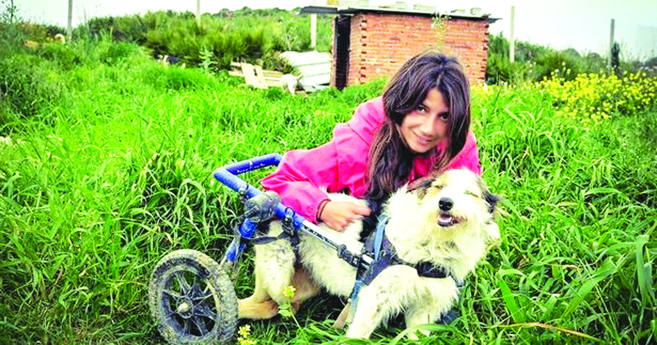 Cô Sally bên cạnh một chú chó khuyết tật được cô giải cứu - ẢNH:  MIRROr