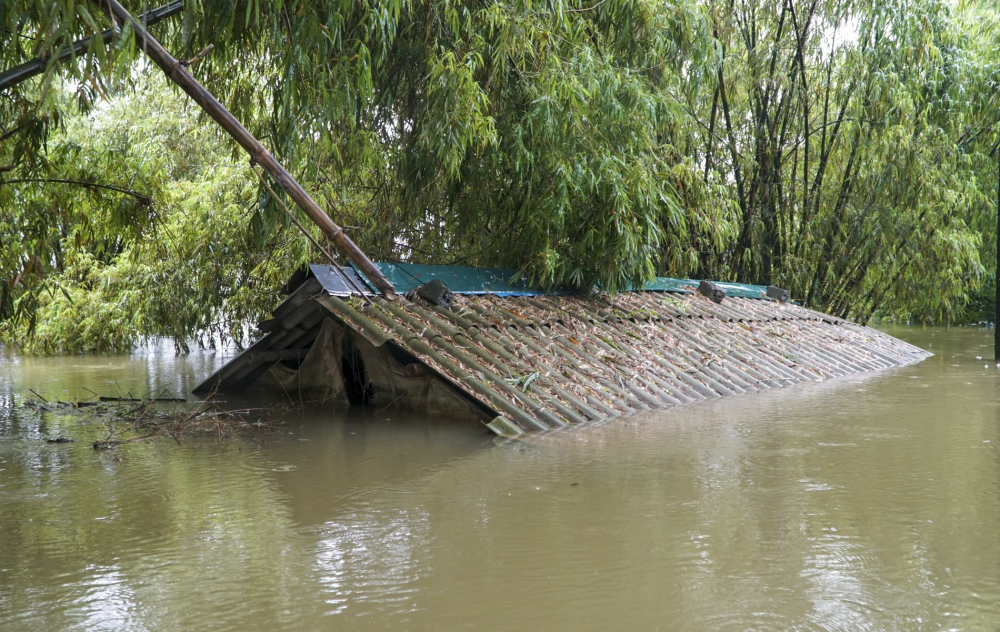 Một chuồng trại của người dân bị ngập trong biển nước.