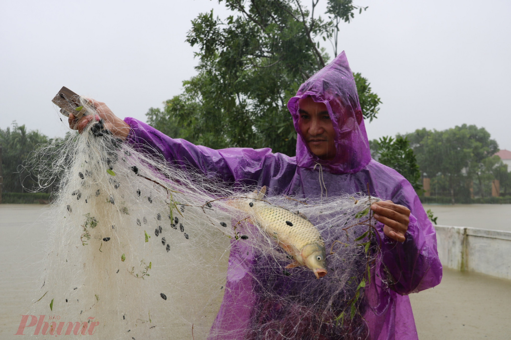 Tranh thủ nước lũ dâng cao, nhiều người dân ở xã Cẩm Vịnh (huyện Cẩm Xuyên) còn mang lưới thả trên đường làng để bắt cá. Chỉ trong vài giờ, nhiều người đã bắt được cả chục kg cá từ sông, ao cá theo dòng nước lũ thoát ra ngoài.