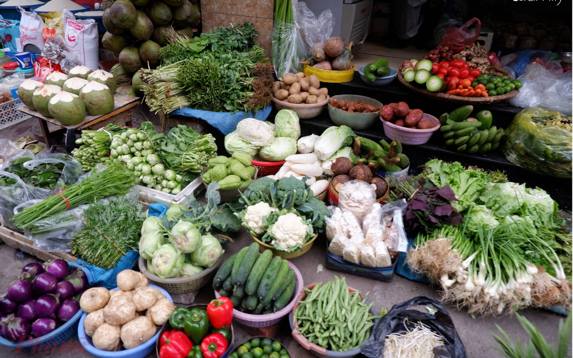 : Các sạp rau đều rơi vào tình trạng “đắt ế” do người tiêu dùng cắt giảm lượng rau xanh trong các bữa ăn