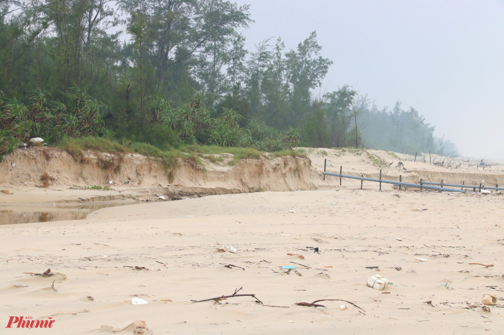 Ngoài ra mưa lớn nhiều ngày khiên bờ biển các xã của huyện Quảng Điền sạt lở nghiêm trọng