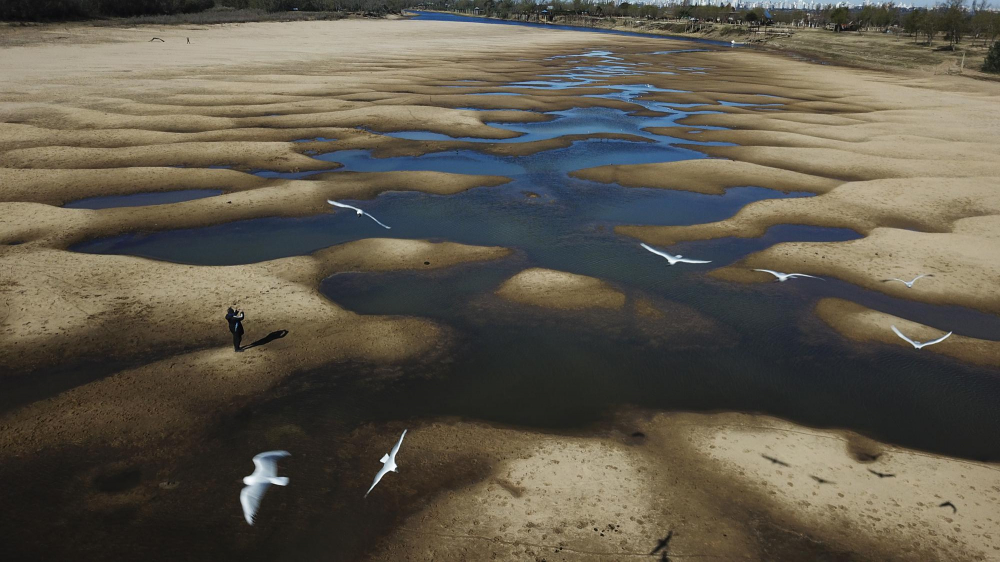 Những con chim bay qua lòng sông Old Parana, một nhánh của sông Parana trong đợt hạn hán ở Rosario, Argentina vào tháng Bảy