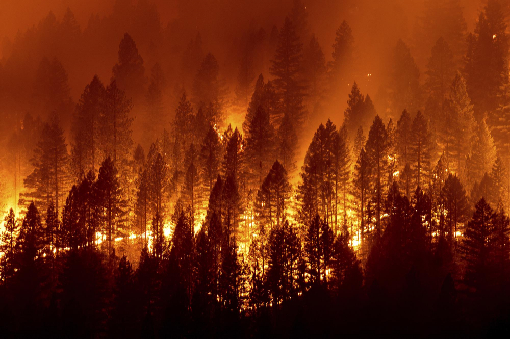 Đám cháy Dixie rực đỏ trên một sườn đồi về phía đường Diamond Mountain gần Taylorsville ở hạt Plumas, bang California, Mỹ vào tháng Tám