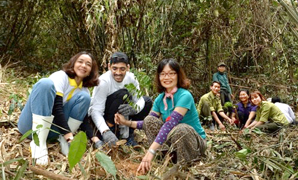 Trong số cây rừng được trồng tại rừng Bến En (Thanh Hóa), có hàng trăm cây con được quyên góp từ lợi nhuận của sách - ẢNH: GAIA
