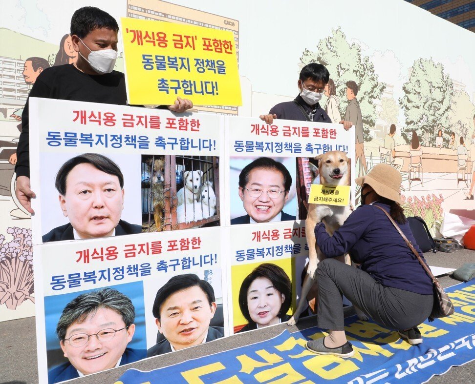 Các nhà hoạt động ở Seoul kêu gọi các ứng cử viên tổng thống đưa ra các chính sách để cải thiện quyền và phúc lợi động vật, trong đó có lệnh cấm tiêu thụ thịt chó - Ảnh: EPA-EF