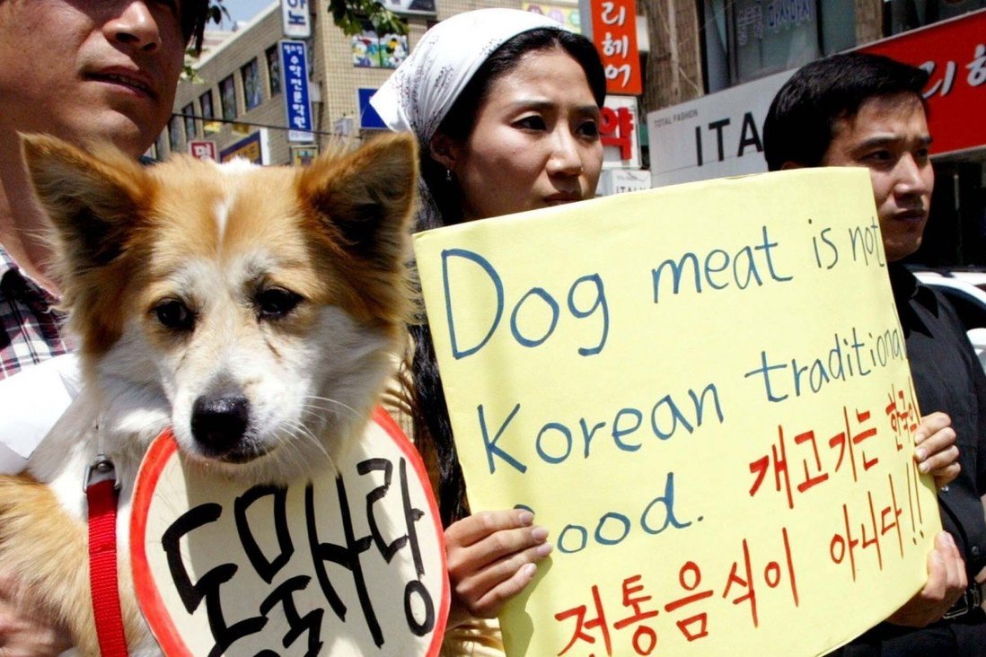 Các nhà hoạt động ở Seoul phản đối văn hóa ăn thịt chó của Hàn Quốc - Ảnh: AP