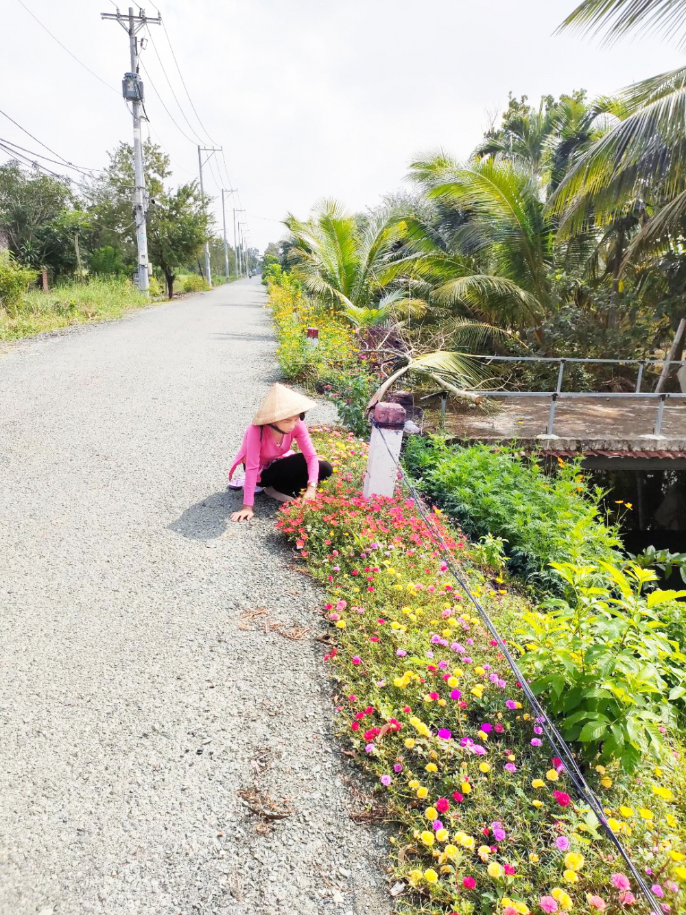 Hằng ngày, cô Nguyễn Thị Ngọc Mai - Chi hội trưởng Chi hội Phụ nữ khu phố 3, thị trấn Tân Túc - vẫn lui tới chăm con đường hoa