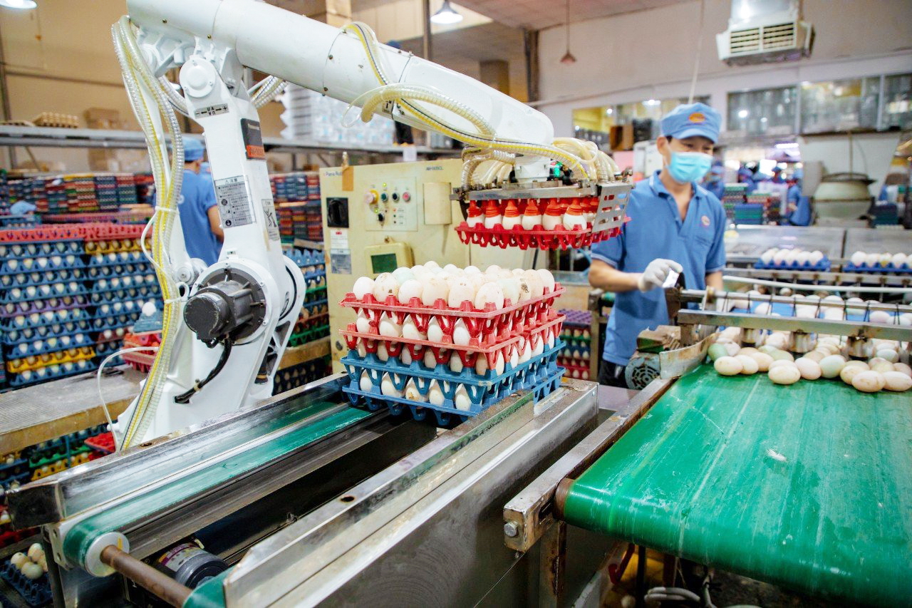 Công ty Vĩnh Thành Đạt vẫn đang thiếu hụt 30% lao động dù đã sử dụng robot vào sản xuất - ẢNH: T.HOA