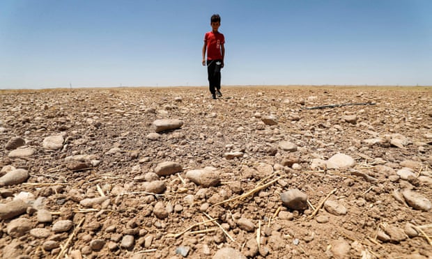 Một cậu bé đi qua cánh đồng khô cằn ở miền đông Iraq, nơi phải hứng chịu đợt nắng nóng gay gắt vào mùa hè và hạn hán trong năm nay. (Ảnh: AFP)