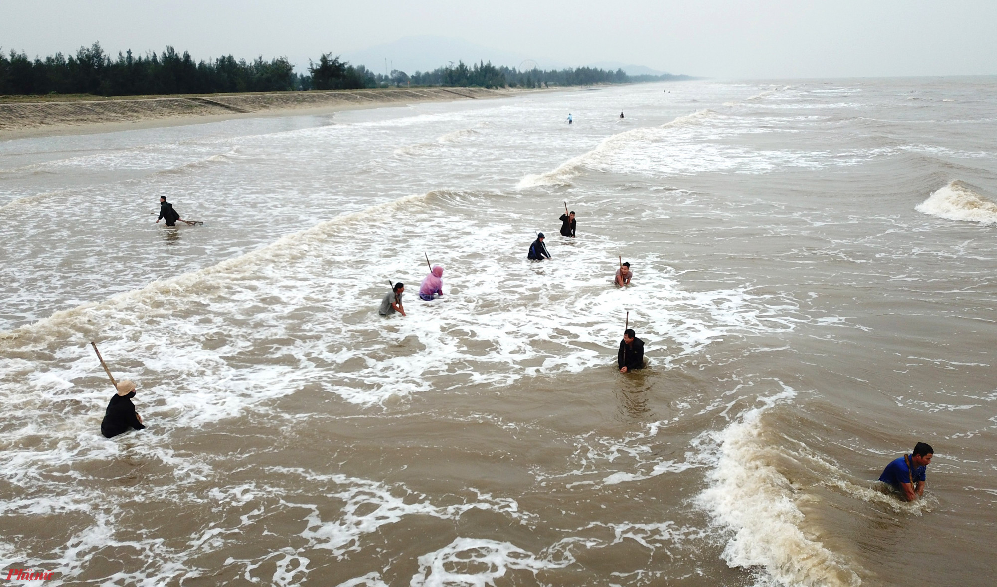 Nhiều ngày qua, đoạn bờ biển dài hơn 2km kéo dài từ xã Thịnh Lộc đến thị trấn Lộc Hà (huyện Lộc Hà, Hà Tĩnh) thu hút hàng trăm người dân địa phương đổ về để vớt sò lông.