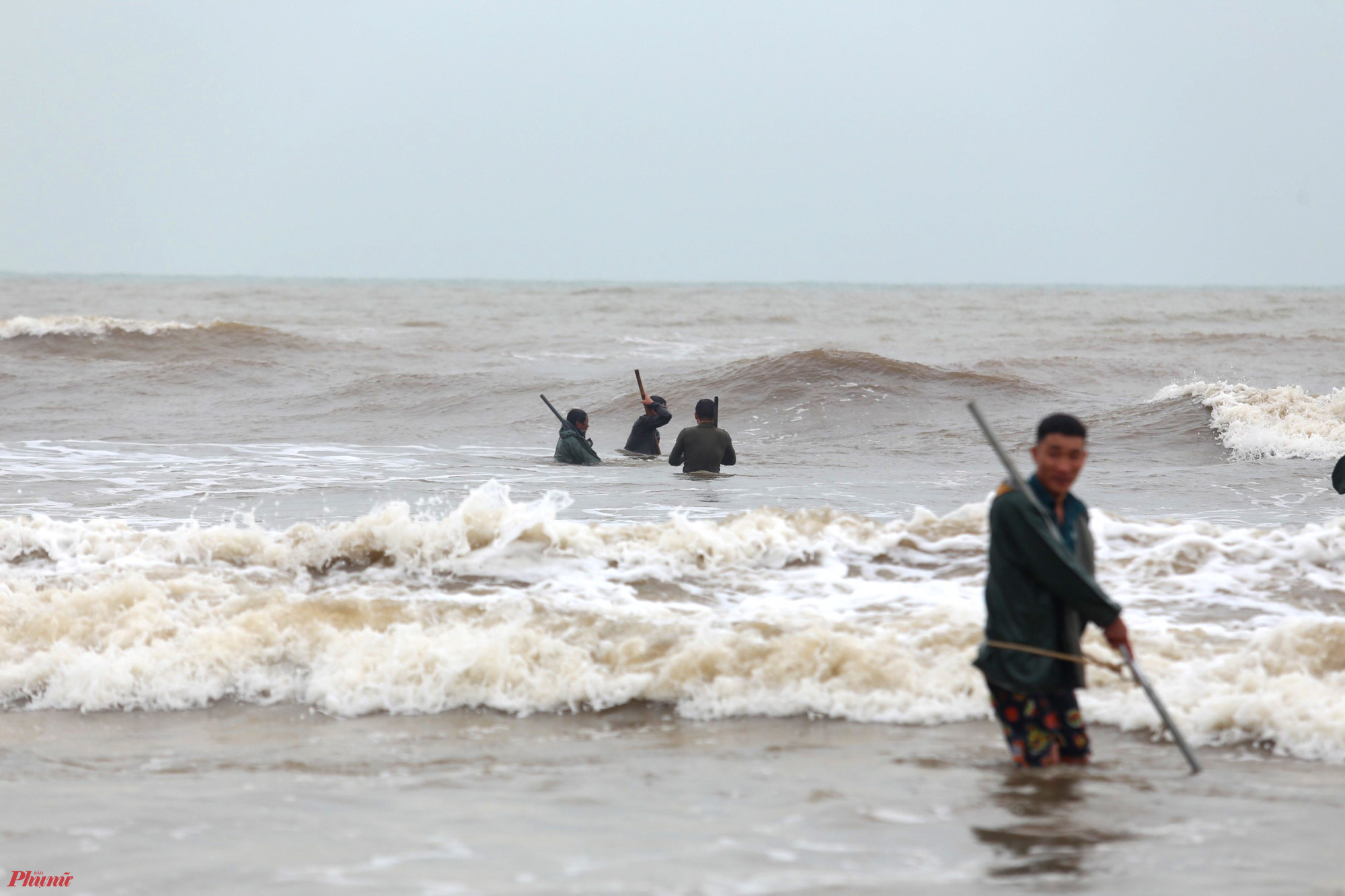 Những người đàn ông sẽ dùng vợt, rổ nhựa, bao tải rồi vượt sóng, lội bộ cách bờ khoảng 50m để vớt sò.