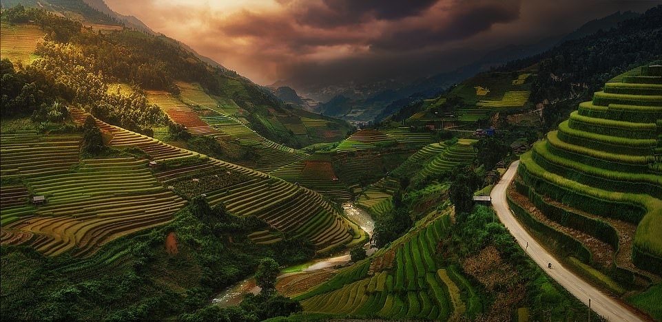 At the wide-angle landscape photo contest 2021 EPSON 2021, the photo of terraced fields in the North of Vietnam is one of the best.