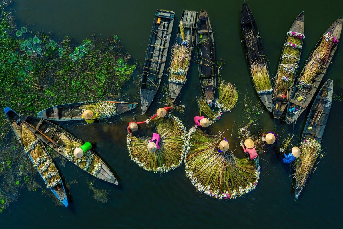Photographer Khanh Phan's photo of harvesting water lilies in Long An by photographer Khanh Phan is one of the 20 most impressive travel photos of the year by the organizers of the Life Framer contest.