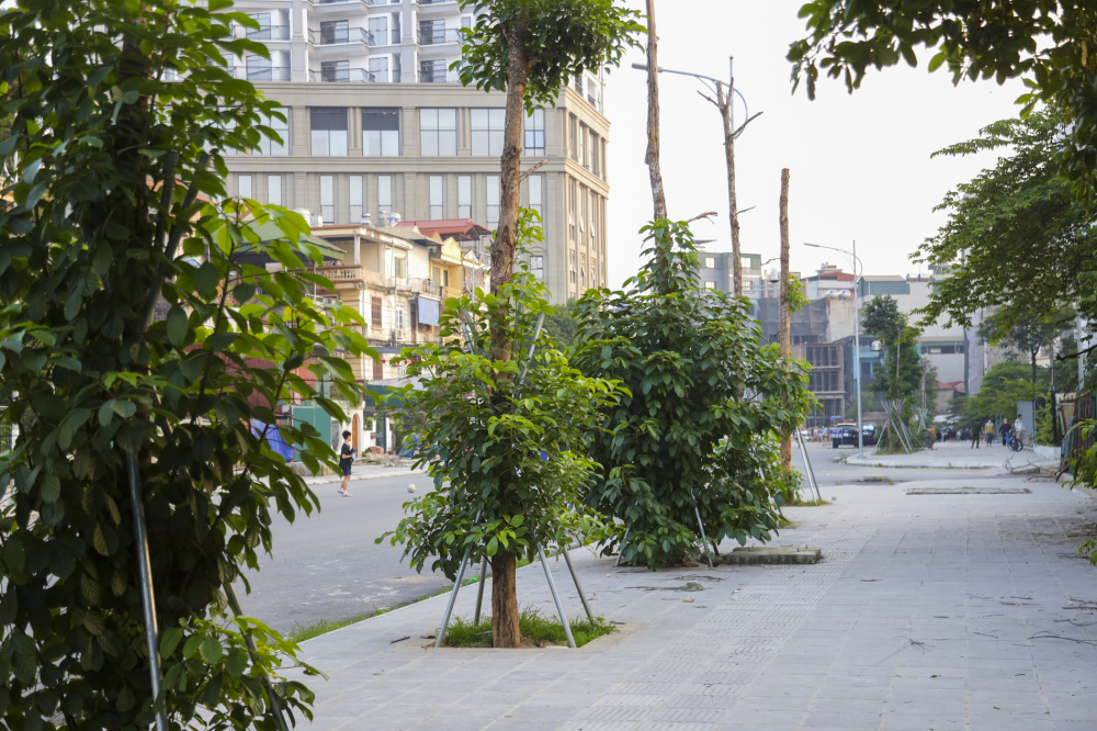 Đoạn đường cạnh ngõ 14 phố Pháo Đài Láng đã hoàn thành lát đá vỉa hè, trồng cây xanh, lòng đường được trải nhựa.