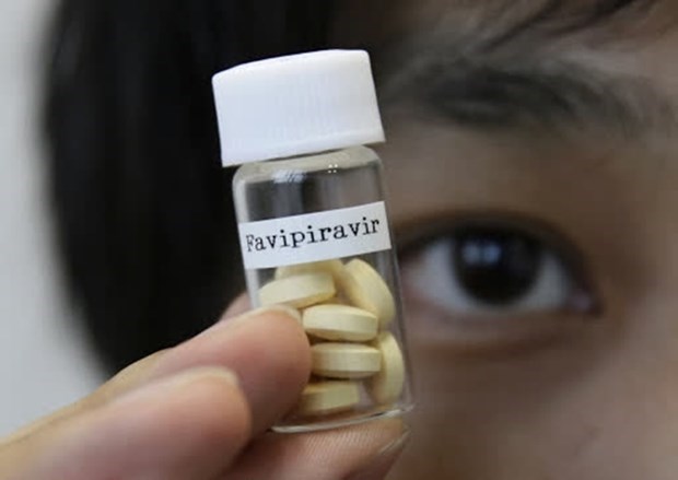 Cho đến hôm nay, Sở Y tế tiếp nhận văn bản của Bộ Y tế, trong đó Bộ Y tế sẽ cung cấp 120.000 liều thuốc Favipiravir. 