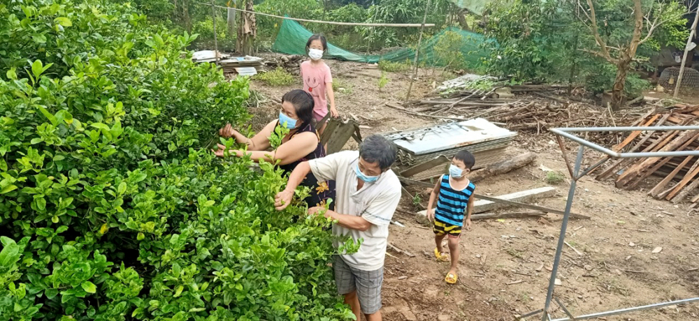 Anh Hoàng - chị Hợp và hai cháu nội giữa sân vườn rộng rãi, cây xanh  do tay anh trồng, chăm sóc