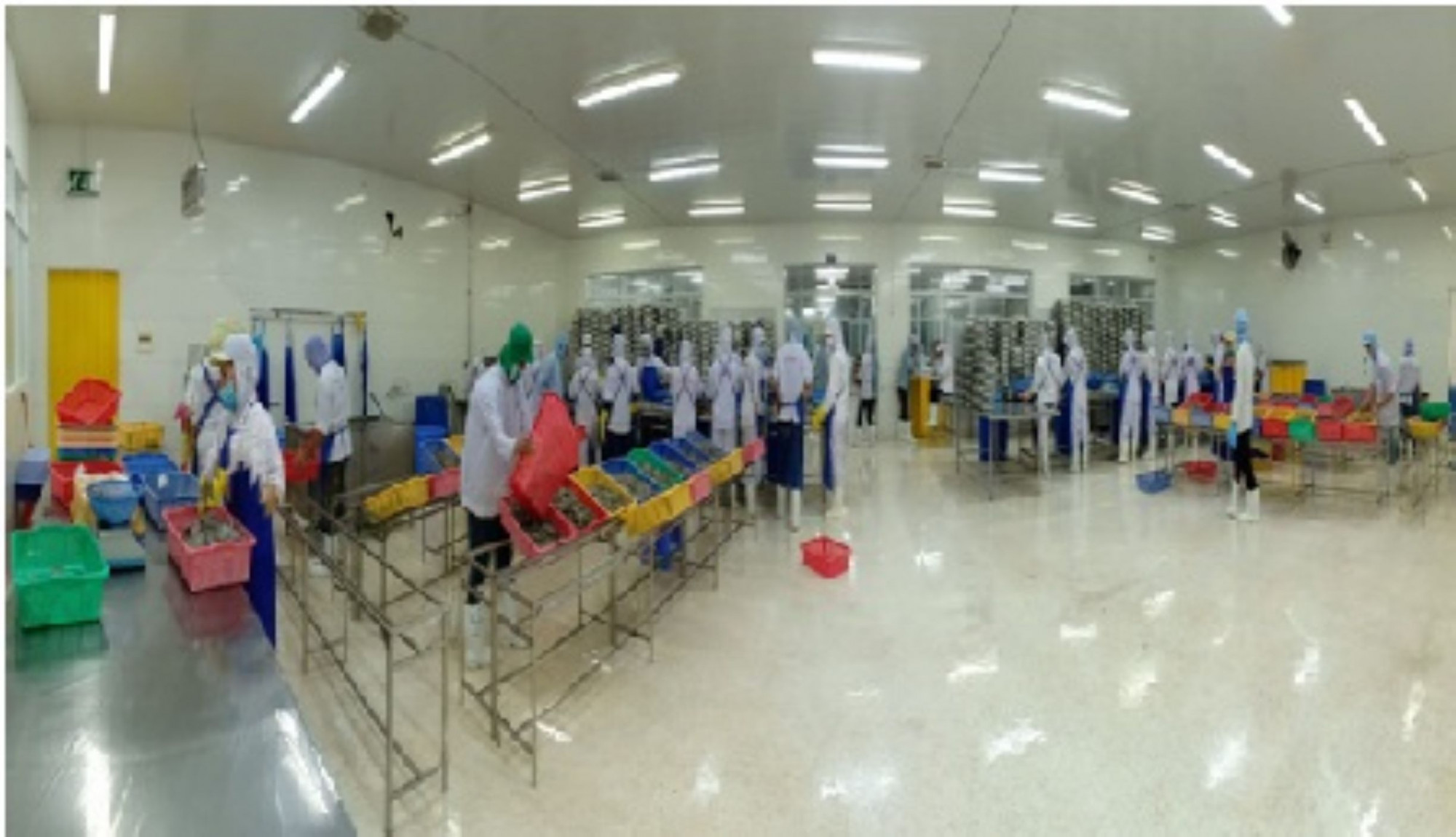 Hoạt động sản xuất trong một doanh nghiệp thủy sản ở tỉnh Cà Mau