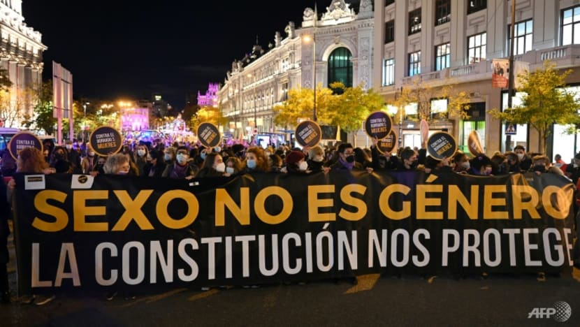 Hàng ngàn phụ nữ tuần hành ở thủ đô Madrid, Tây Ban Nha