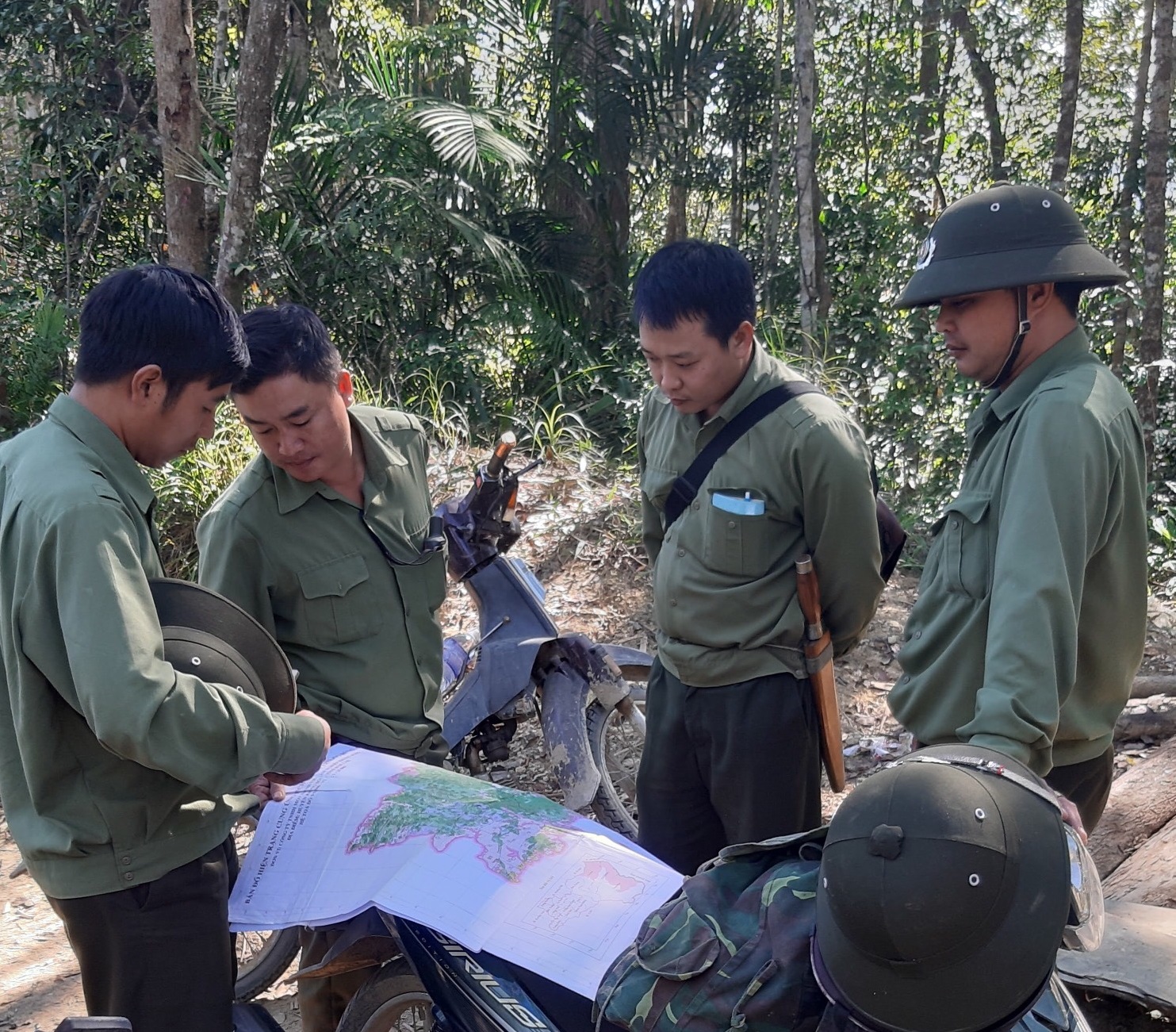 Công tác lý bảo vệ rừng của lực lượng kiểm lâm gặp nhiều khó khăn, áp lực
