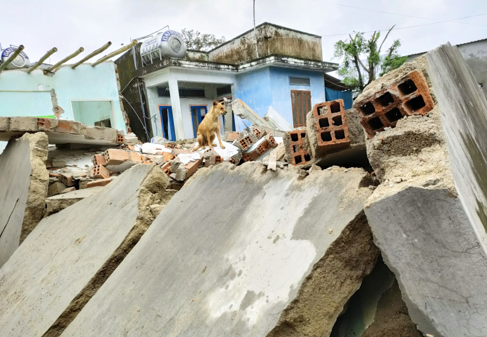 Nhà người dân ở huyện Tuy Phước đổ sập do mưa, lụt