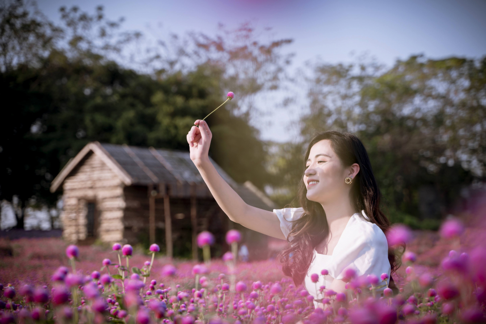 Đến thảo nguyên hoa nhiều năm nhưng đây là lần đầu tiên được chụp với cúc tím hồng, bạn Lê Minh Quỳnh (Hà Nội) chia sẻ 'Tôi có cảm giác như lạc vào xứ sở thần tiên. Màu hoa cực kì bắt mắt, lên ảnh vừa đẹp, vừa mộng mơ.”