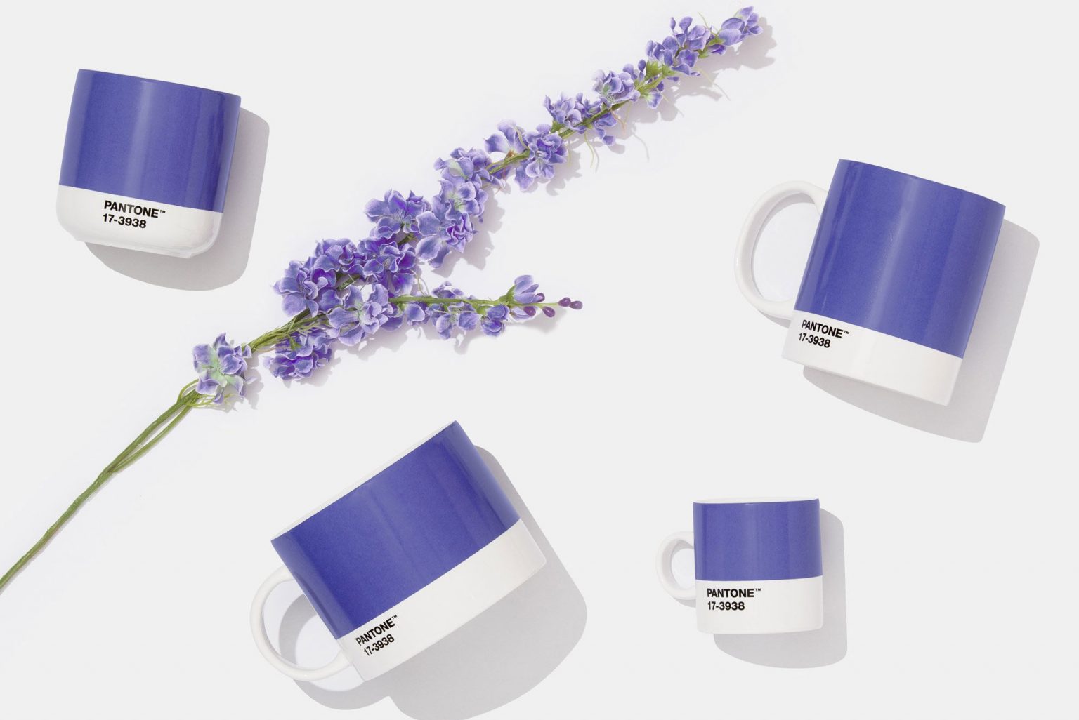 Màu của năm 2022 gần với màu của hoa lavender.