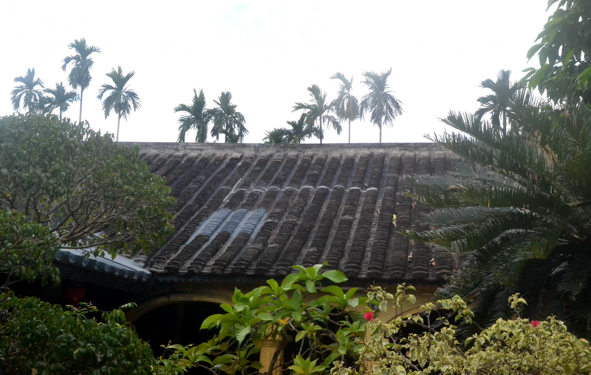 Những ngôi nhà cổ ở làng cổ Phú Vinh được lợp bằng ngói âm dương