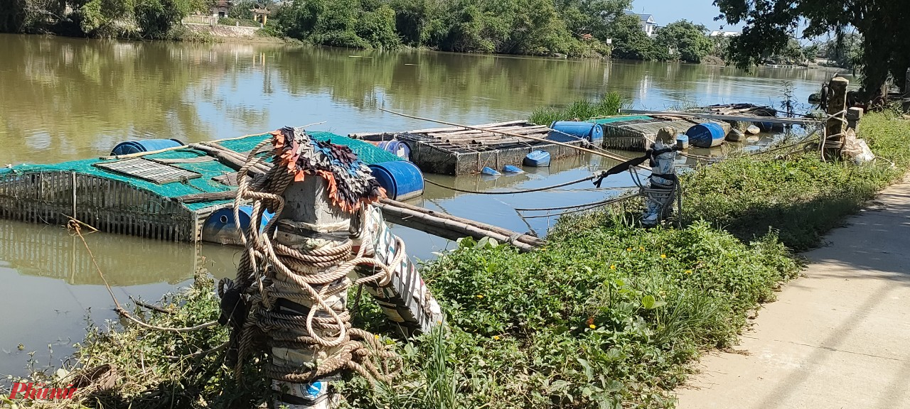 Người dân xã Quảng Thọ buộc chặt các lồng cá bảo vệ tài sản 