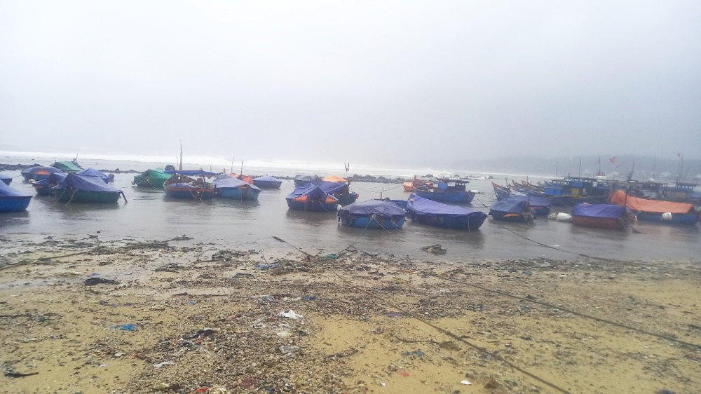 Ngư dân huyện Bình Sơn đã neo đậu tàu thuyền tránh trú bão