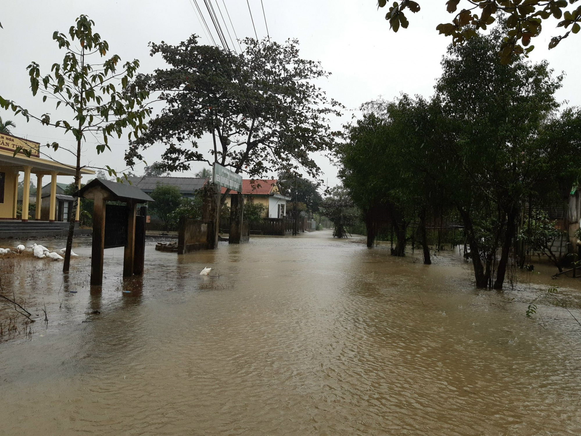 Theo khuyến cáo từ Ban chỉ huy PCTT&TKCN tỉnh Thừa Thiên - Huế mưa lớn gây nguy cơ cao về lũ quét ở miền núi, sạt lở đất ở các sườn dốc, ven sông, suối, vùng núi; đặc biệt là các huyện Phong Điền, A Lưới, Nam Đông và Phú Lộc.