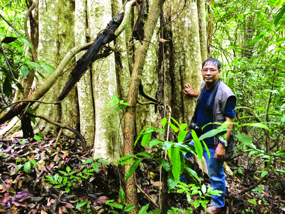 Tiến sĩ Đinh Quang Diệp trong một chuyến vào rừng khảo sát thực địa