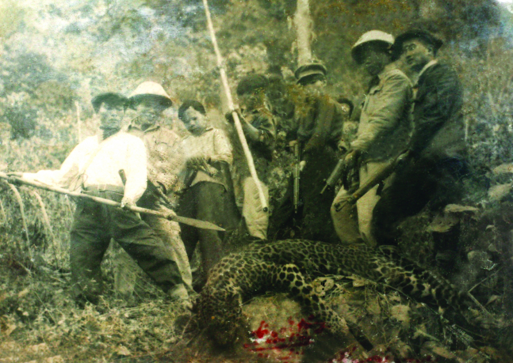 Đội chống hổ trong lần tiêu diệt được con báo đốm. Đội trưởng Trần Kim Liêu đứng ngoài cùng, bìa phải - Ảnh: NVCC