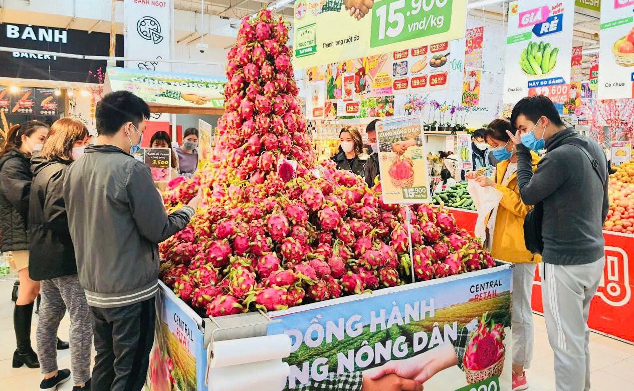 Thanh long tại các vùng trồng được các siêu thị trưng bày tại những vị trí thu hút người dân đến mua sắm