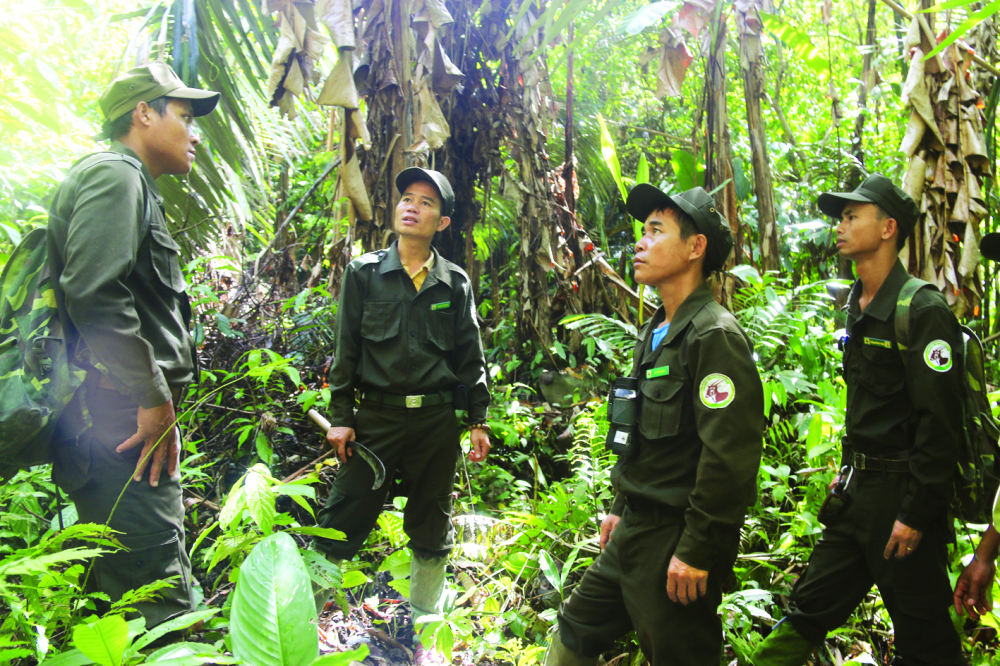 Đội tuần tra bảo vệ rừng thuộc biên chế Khu bảo tồn sao la Thừa Thiên - Huế - ẢNH: NHẬT LINH