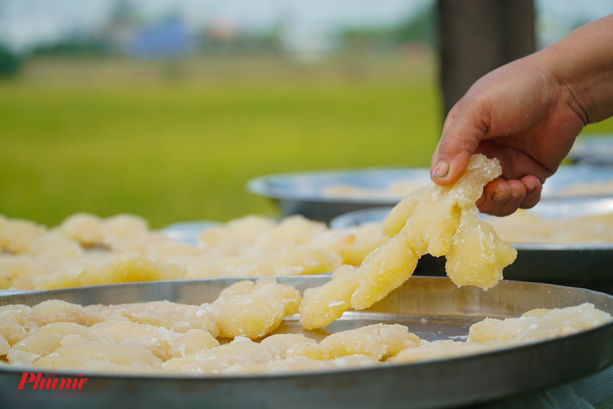 Miếng gừng vàng đều, có độ trong nhất định, vị ngọt, cay vừa phải