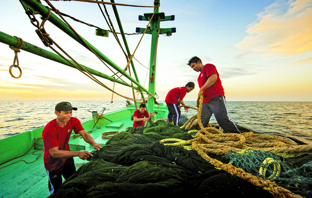 Công ty Thanh Hà đầu tư cả tàu đánh bắt cá để có nguồn cá cơm tươi ngon